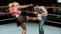 24-kick_in_lower_part_on_the_man